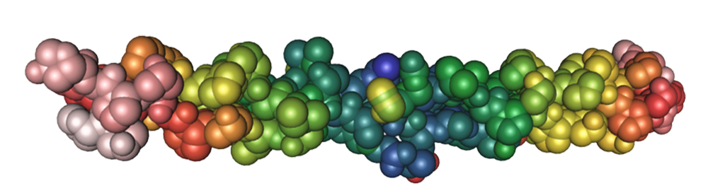 Fiberprotein. Illustrasjon.
