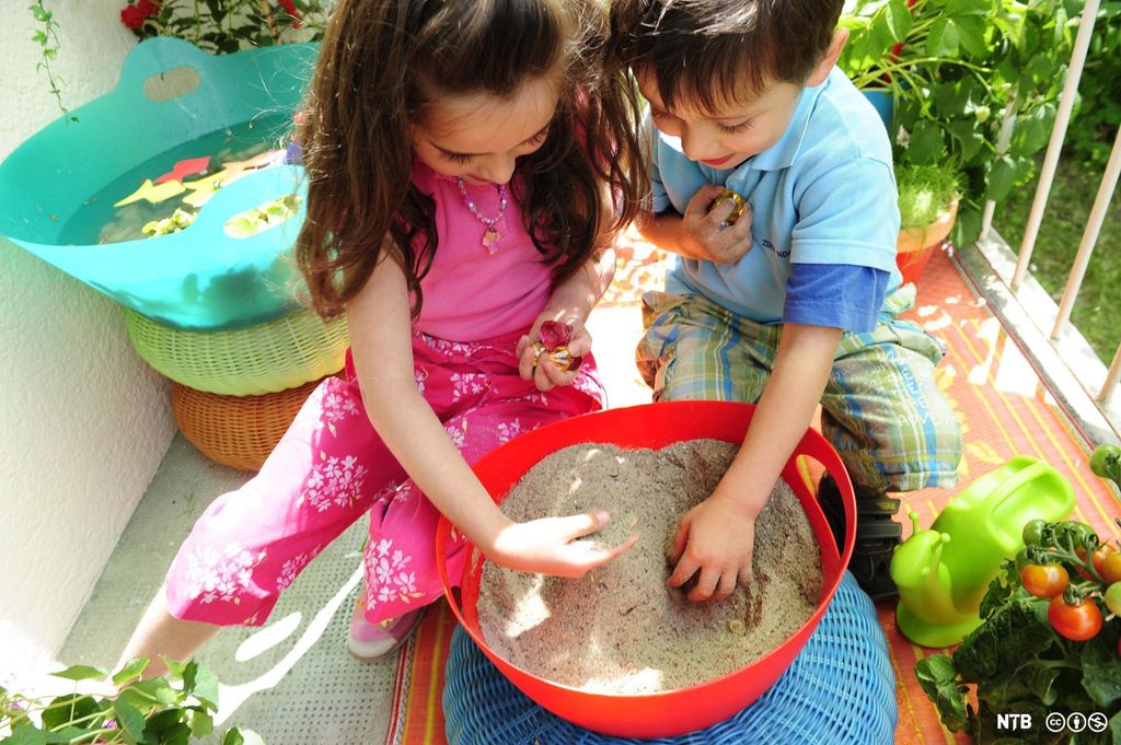 Ei jente og en gutt leker med sand i ei bøtte. De sitter på en balkong. Bak dem står ei blå plastbalje med vann og flytende plast-fisker, og ved siden av dem står det ei tomatplante med halvmodne tomater. Foto.