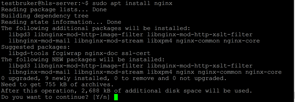Utklipp fra tekstbasert installasjon av Nginx i linux. Skjermbilde.