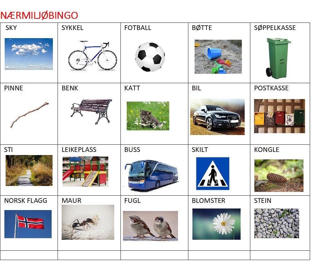 Bingoplate med bilete av i alt 20 ulike ting ein kan finne eller sjå i nærmiljøet: sky, sykkel, fotball, bøtte, søppelkasse, pinne, benk, katt, bil, postkasse, sti, leikeplass, buss, skilt, kongle, norsk flagg, maur, fugl, blomster, stein. Illustrasjon.