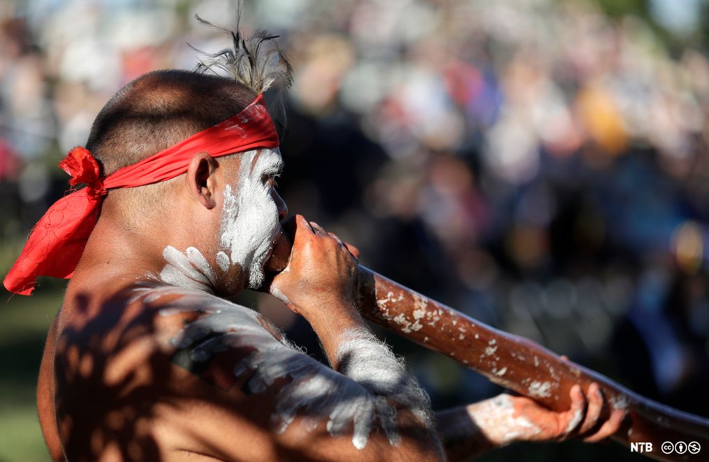 An Aboriginal man, His face and arms are painted white. He wears a red scarf around his head. He takes part in an Aboriginal ceremony. He is holding a large wood cylinder to his mouth. Photo. 