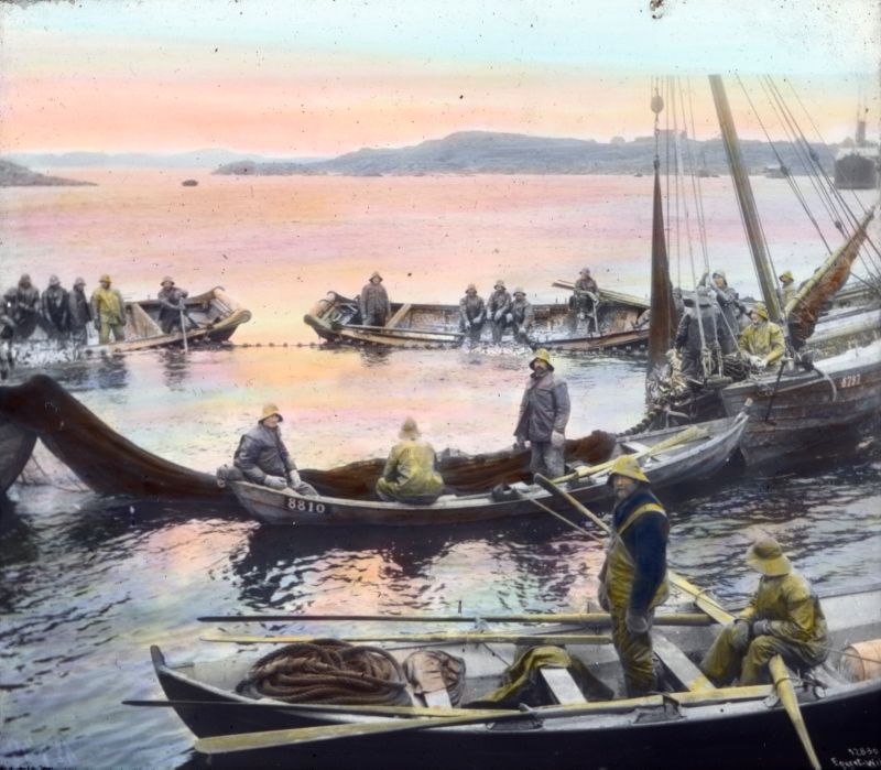 Robåter og fiskeskøyter. Maleri.