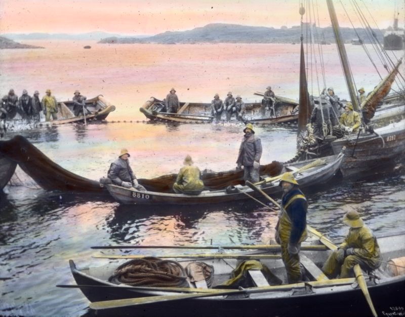 Robåter og fiskeskøyter. Maleri.