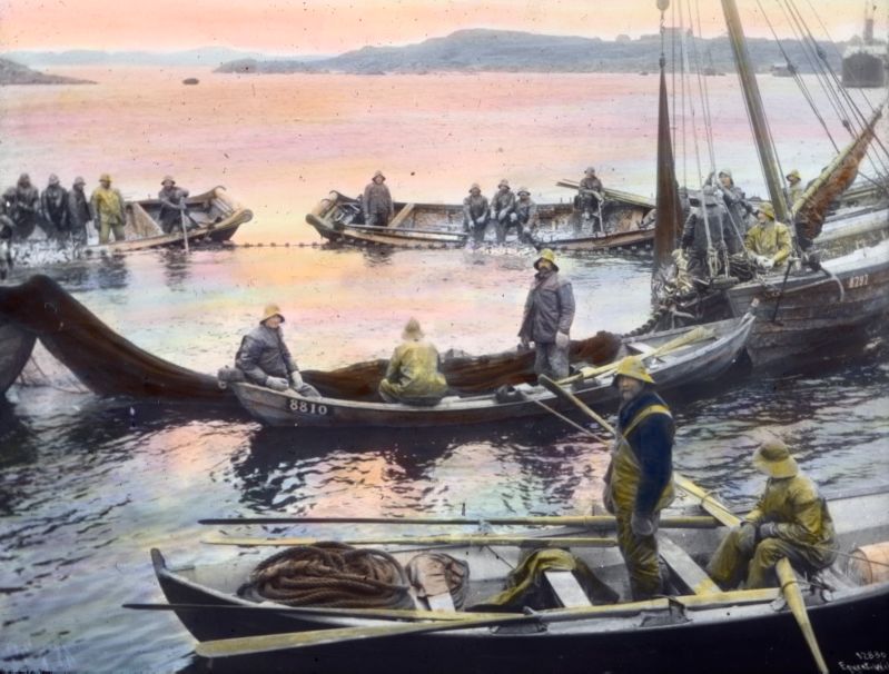Robåter og fiskeskøyter. Maleri.