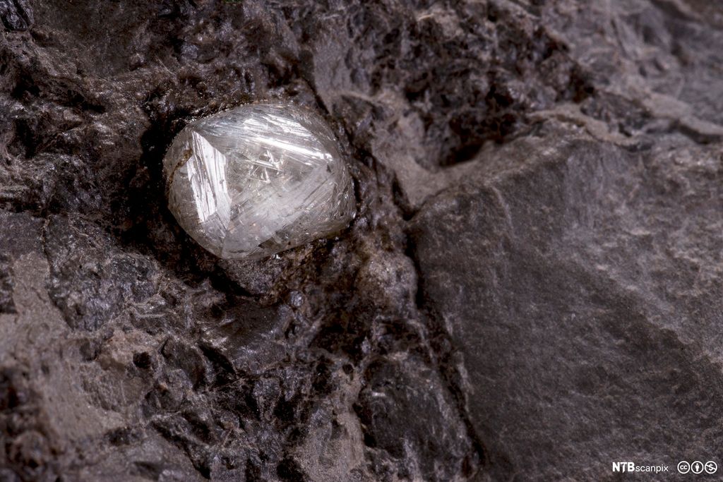 Diamánta verddegeađggis. Govva. 