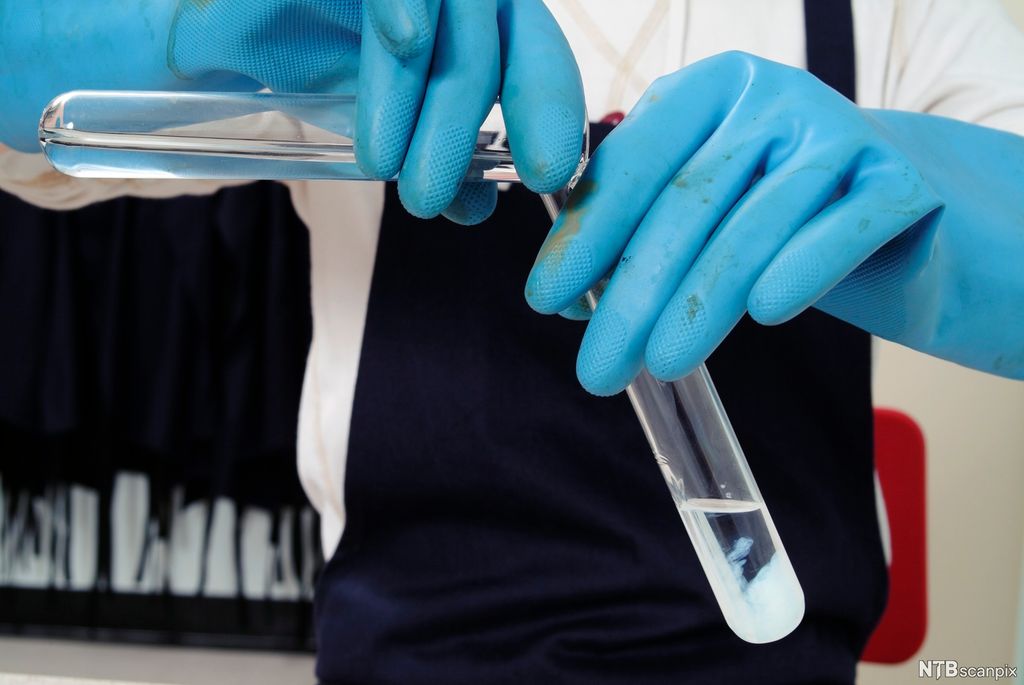 Person med blå hansker heller en fargeløs væske fra et reagensrør til et annet. 