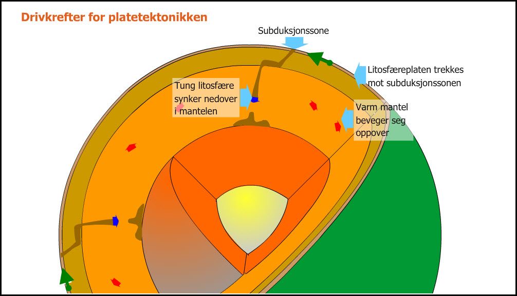 Illustrasjon som viser jordkloden og drivkreftene i platetektonikken. Følgende prosesser er avmerket: Tung litosfære synker nedover i mantelen, Subduksjonssone, Litosfæreplaten trekkes mot subduksjonssonen, og Varm mantel beveger seg oppover.