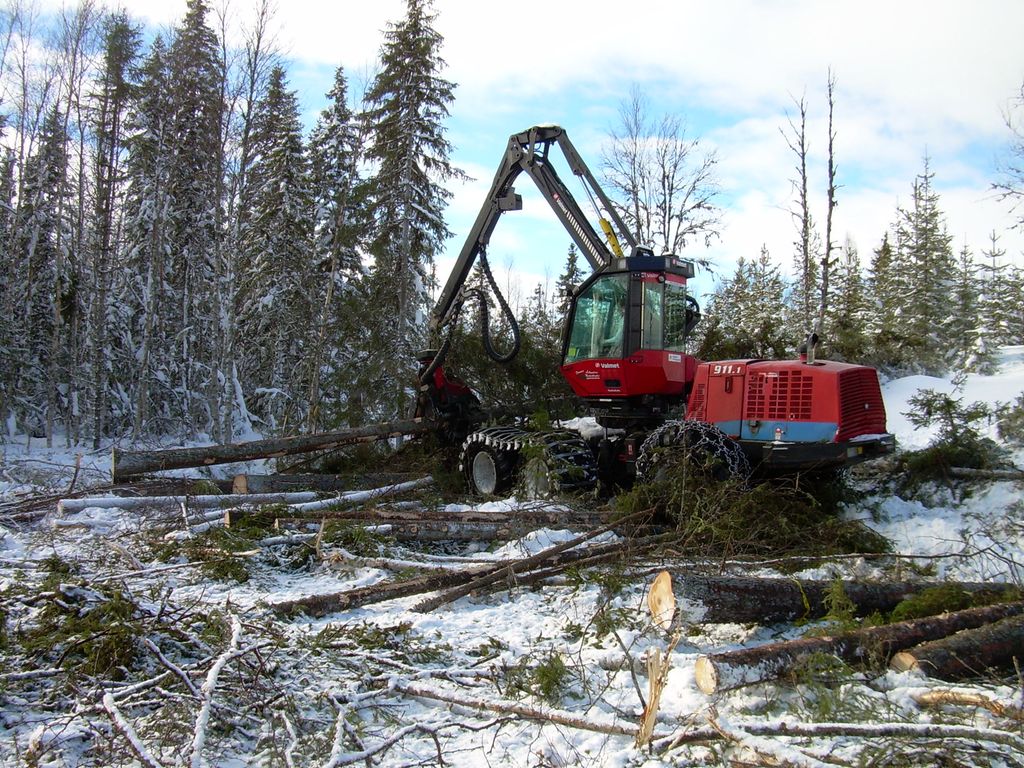 Hogstmaskin i skogen på vinterstid. Foto.