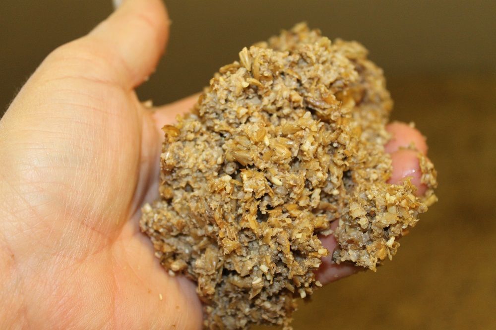 Mask fra ølproduksjon ligger i ei hånd. Foto.