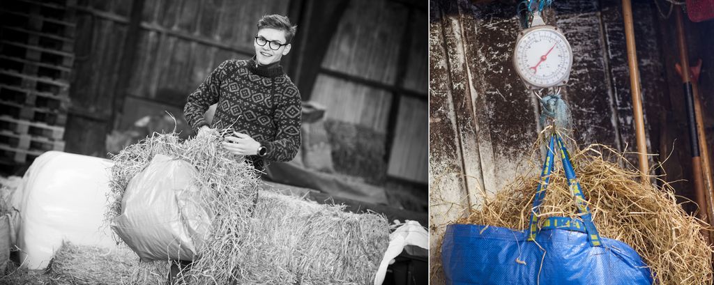 Ung gutt veier opp fôr til hester. Foto.