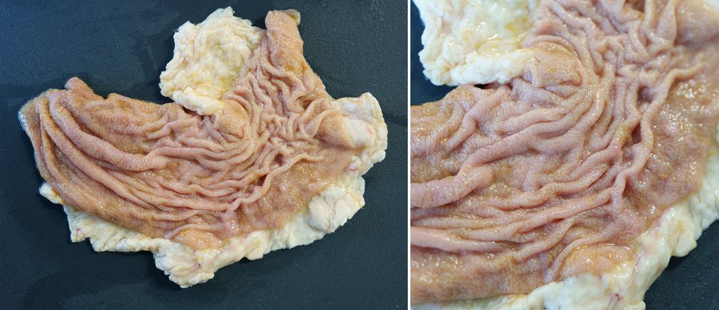 Kollasj av to bilder som viser innsida av løypemagen. Den er lakserosa og har en foldet struktur. Foto.