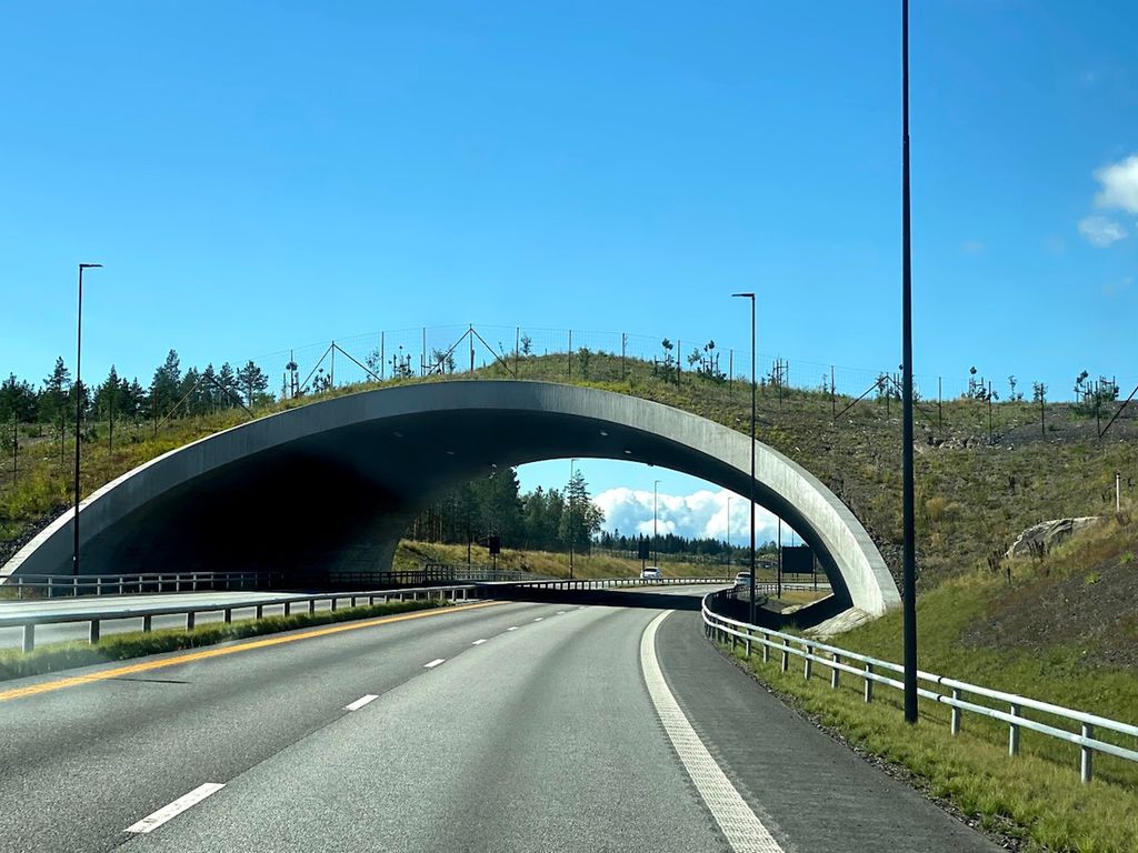 Motorveg som går i en liten tunnel med vegetasjon på toppen og gjerder langs kantene. Foto.