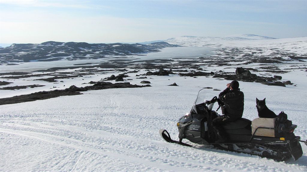 Ryönjesæjja jïh bïenje skovterisnie tjahkesjeminie. Guvvie