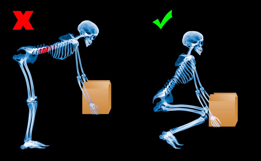 Et skjelett løfter en boks. Foto.