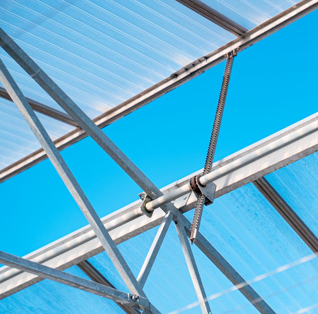 Åpen lufteluke i taket på et veksthus sett innenfra. Foto.