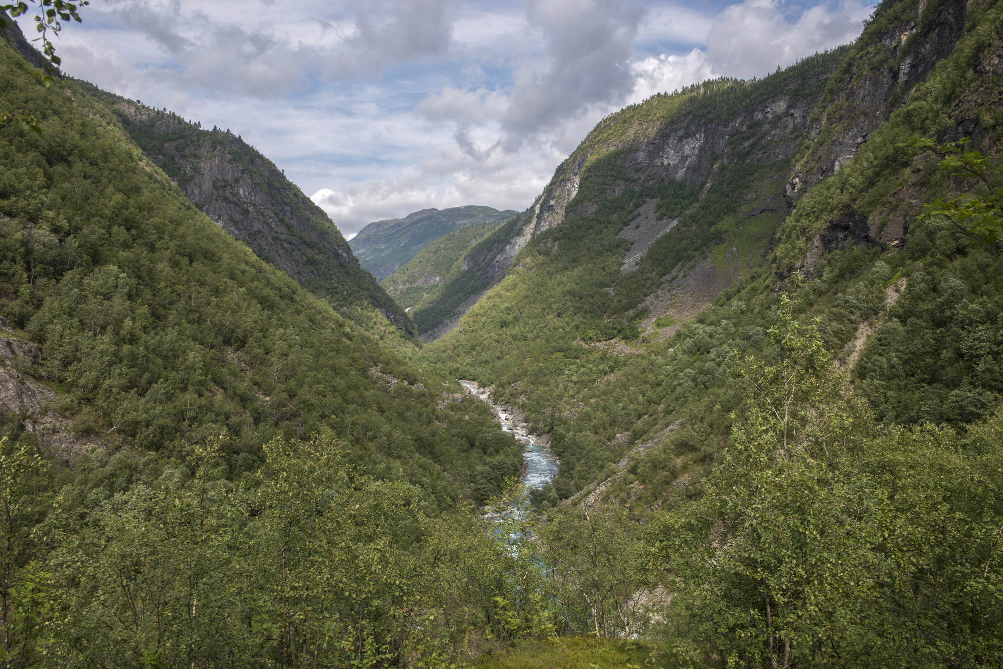 Ei elv som renn på botnen av ein V-forma, skogkledd dal. Foto. 