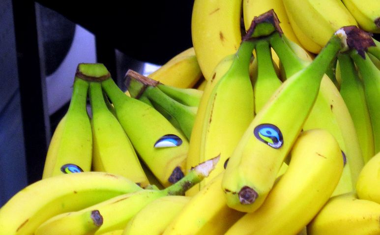 Bananat guhpan. Govva.