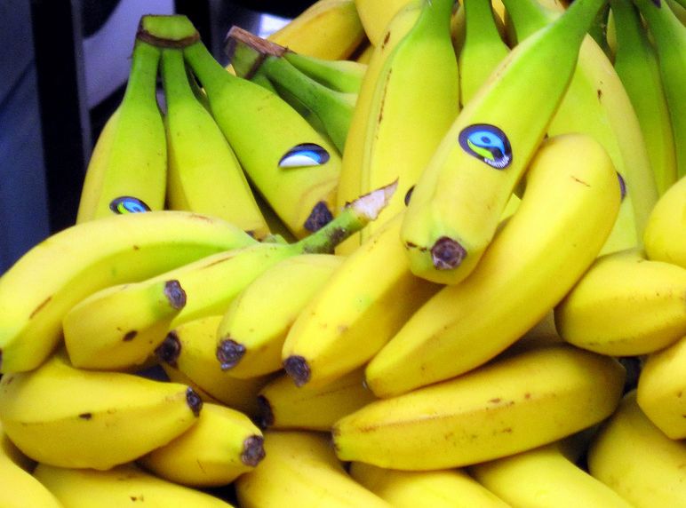 Bananar som er merkte med fairtrade. Foto