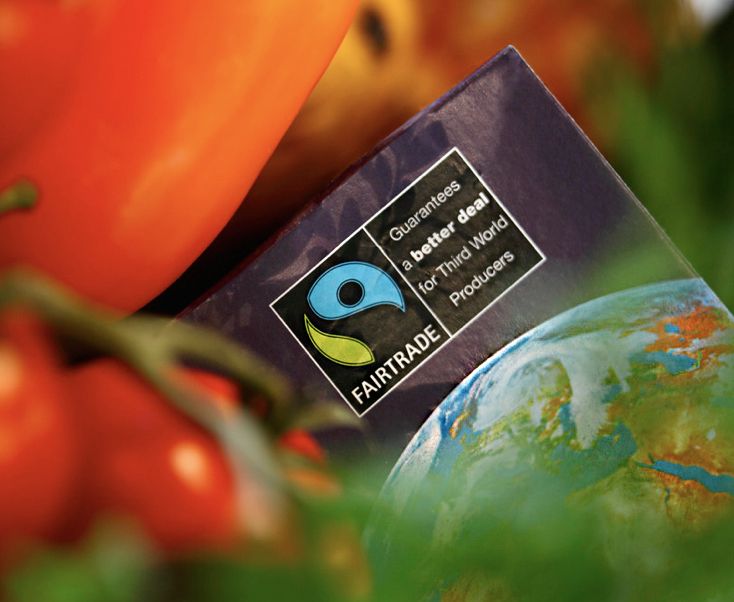 Fairtrade sin logo blant tomater. Foto.