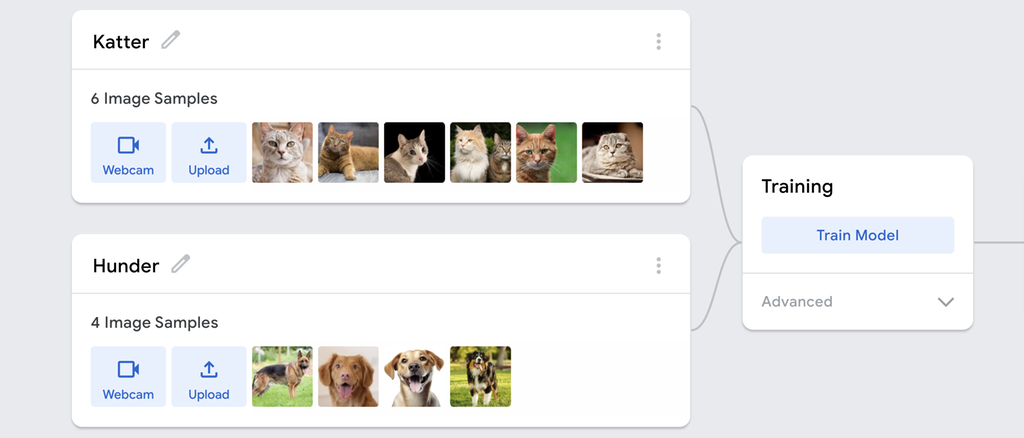 Skjermdump frå Teachable Machine. I det første trinnet er det to boksar, den eine med bileteksempel på kattar og den andre med bileteksempel på hundar. I det andre trinnet er det ein boks med overskrifta "Training". Skjermutklipp.