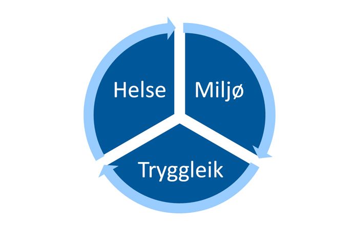 Helse, miljø og tryggleik heng saman og påverkar kvarandre