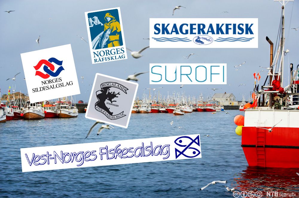Logoene til Norges Sildesalgslag, Vest-Norge Fiskesalgslag, Rogaland Fiskesalgslag, Surofi og Skagerakfisk. Illustrasjon.
