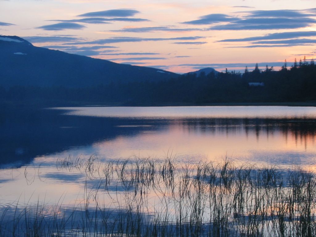 Lehkeden Buvriejaevresne. Guvvie.