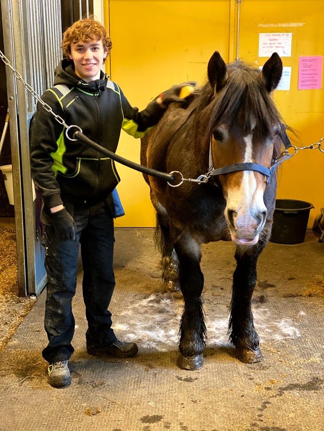 Gutt som står ved siden av en hest. Han jobber med å vaske hesten. Hesten er bundet opp. Foto.