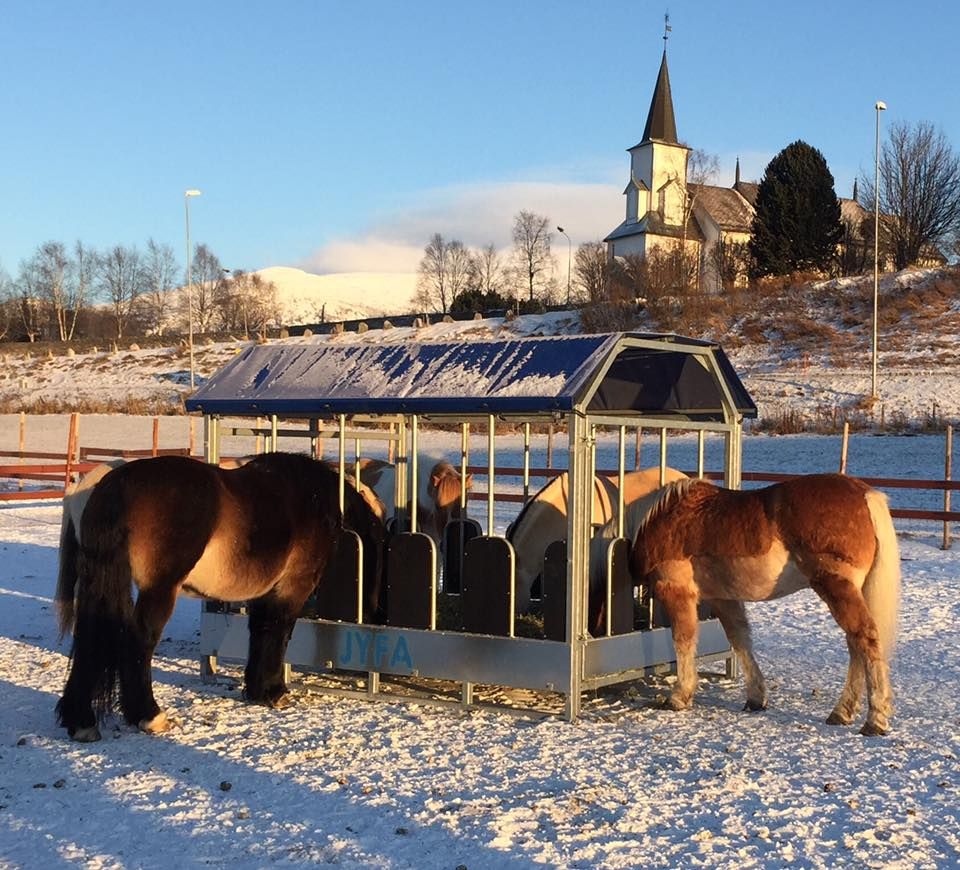 Forhekk med fem hestar. Foto.