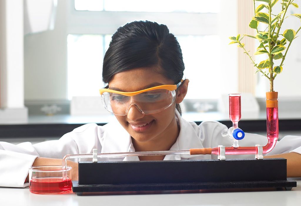 En elev følger med på et forsøk med planter. Foto.