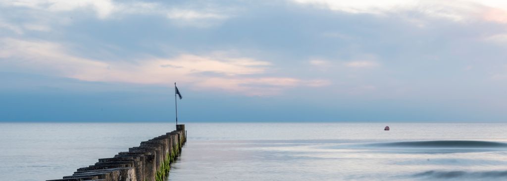 Trestubber som følger ei skrå linje ut mot havet og horisonten. Foto.