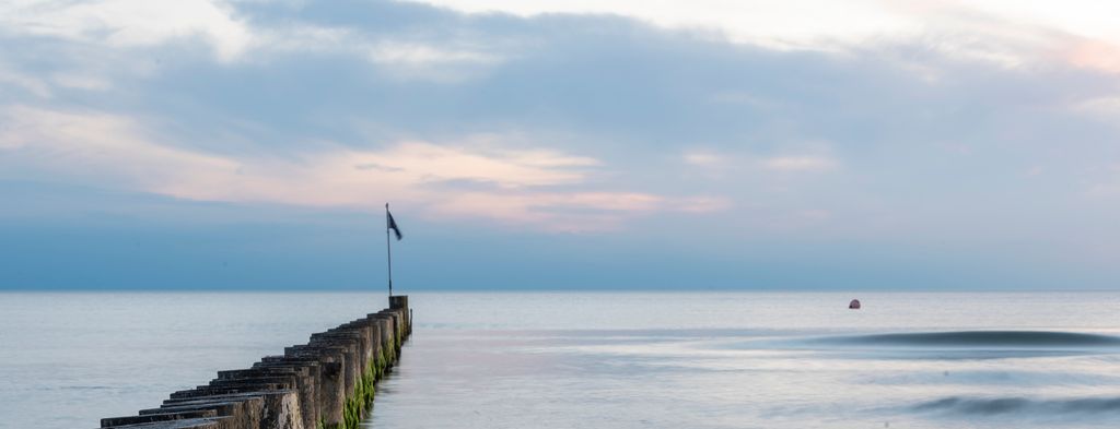 Trestubbar som følger ei skrå linje ut mot havet og horisonten. Foto.