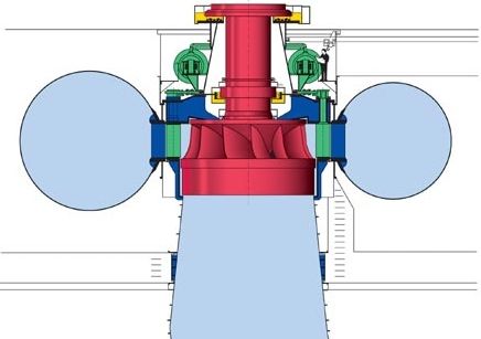  Francisturbin. Illustrasjon