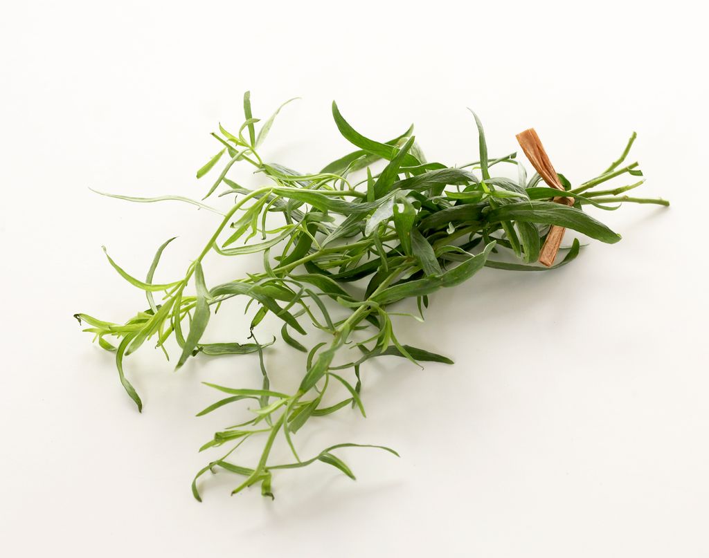 Liten bunt estragon. Foto.