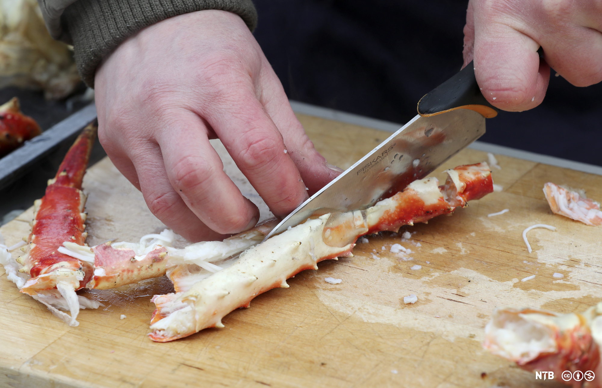 En kniv føres langs et kokt kongekrabbebein. Foto.