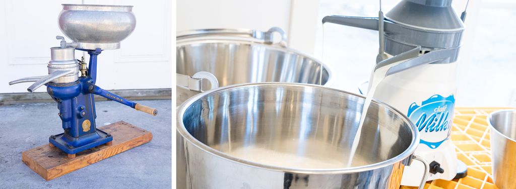 To bilder. En eldre, handsveivet separator på utstilling og en nyere separator som drives med elektrisitet. Det renner mjølk ut av to renner på den moderne separatoren. Foto.