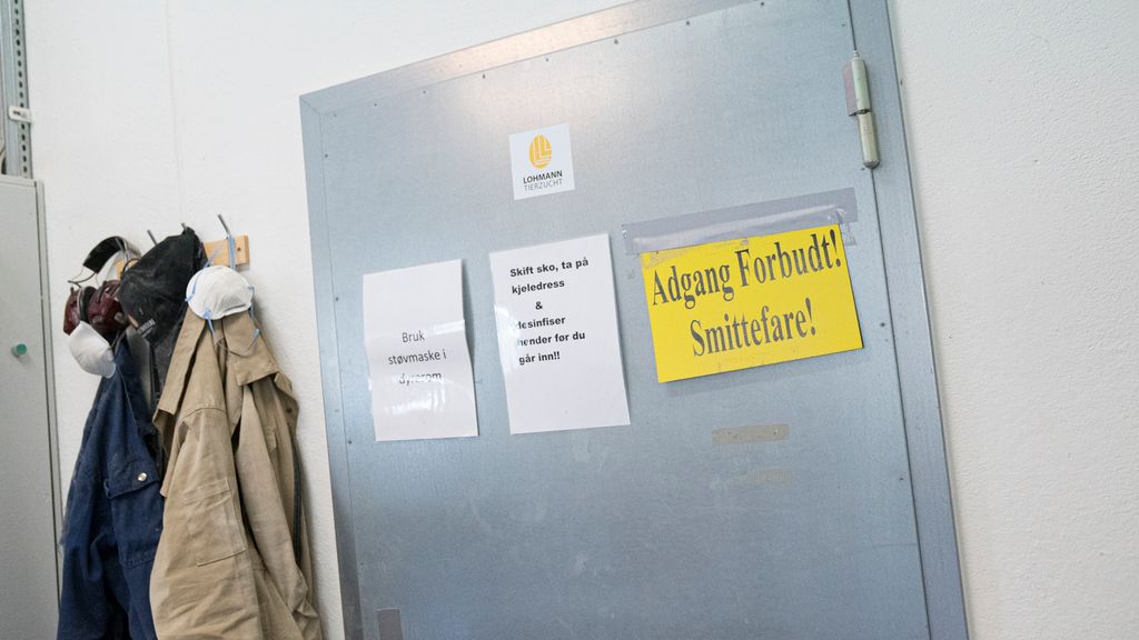 Ei dør med plakater som sier at du må skifte klær og desinfisere hendene før du går inn i dyrerommet. Det henger kjeledresser og støvmasker på knagger ved siden av døra. Foto.