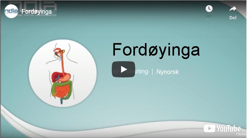 Skjermbilete av eForelesinga Fordøyinga. Illustrasjon