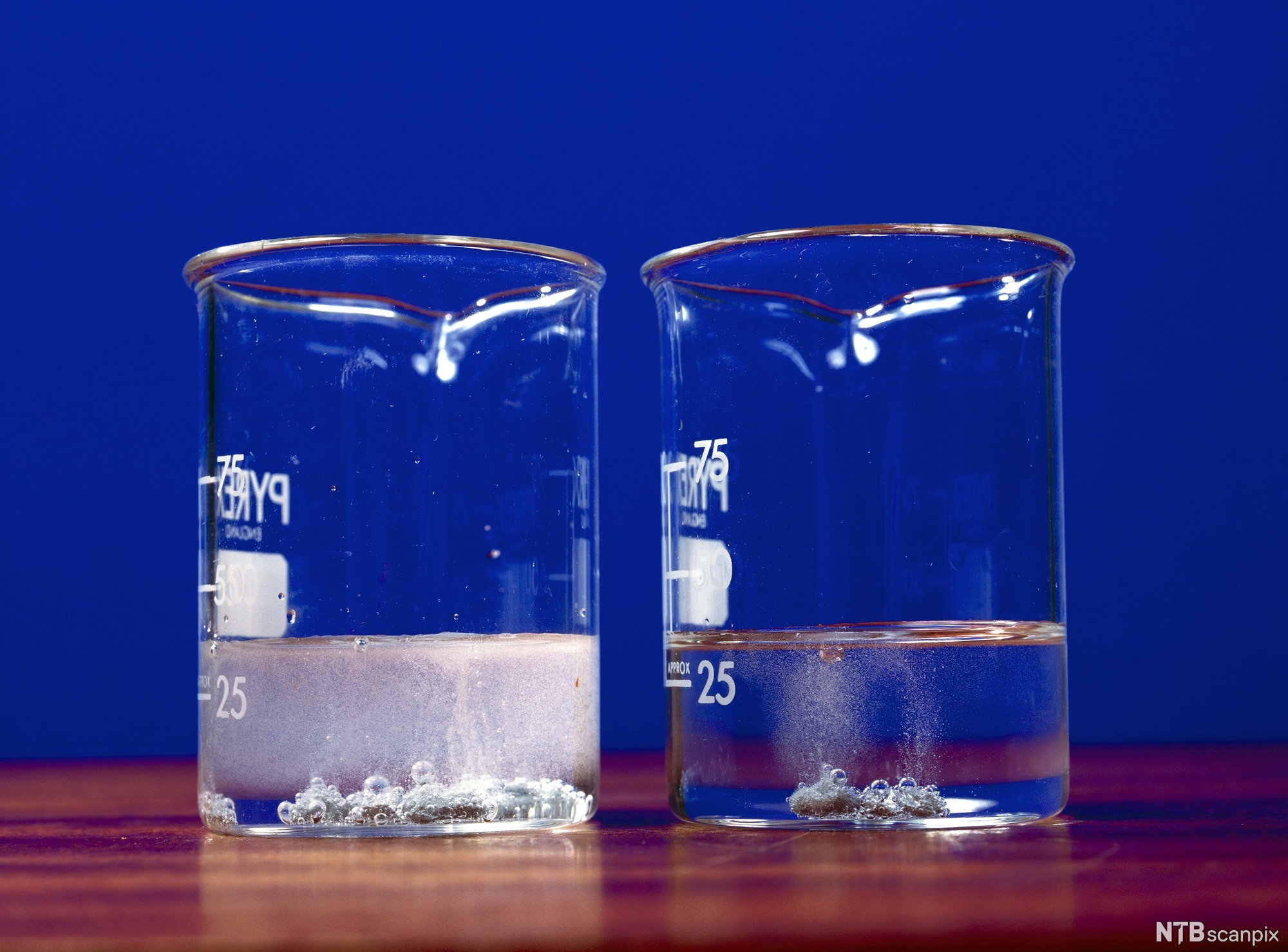 Sink i løsninger av saltsyre med ulik konsentrasjon i 2 kolber. Foto.