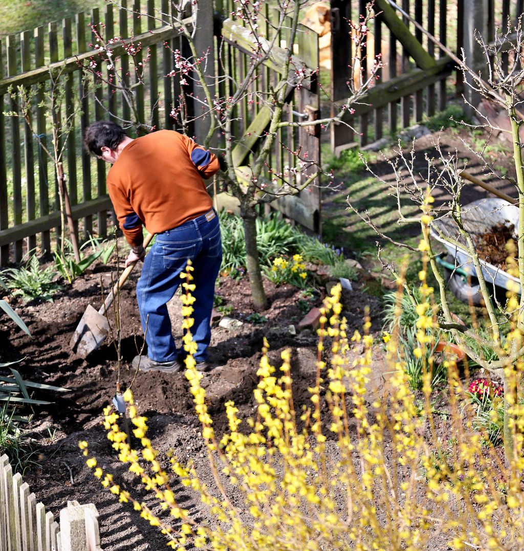 Ein mann grev i eit bed i ein kolonihage. Foto.