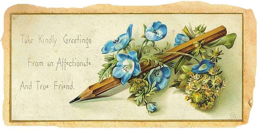 Greeting card. Illustration.