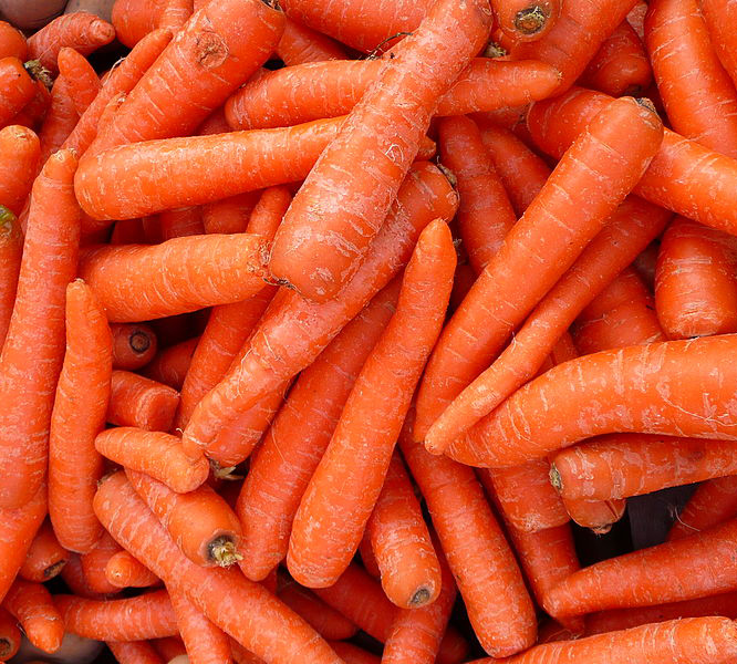 Mange gulrøtter. Foto.