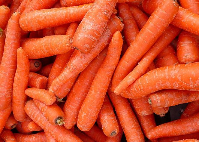 Mange gulrøtter. Foto.