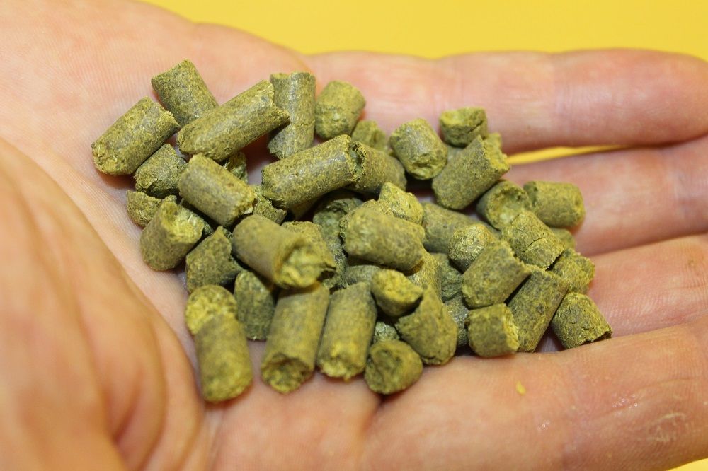 Ei hånd som er full av humle i pellets-form. Foto.