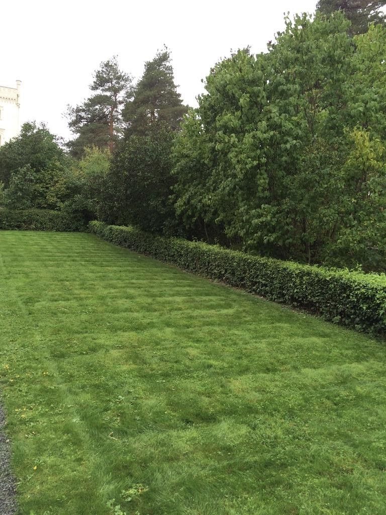 Hekk og trær som skaper le i en hage. Foto. 