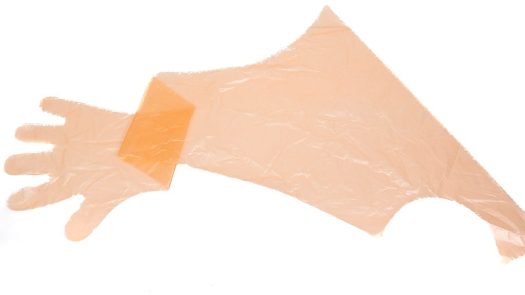 Lang engangshanske. Foto.