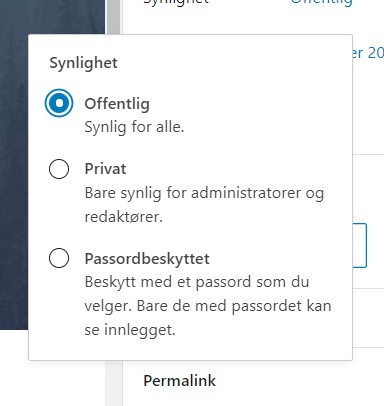 Du ser en dialogboks med «Synlighet» til tittel, der du kan velge mellom «offentlig», «privat» og «passordbeskyttet». Skjermbilde.