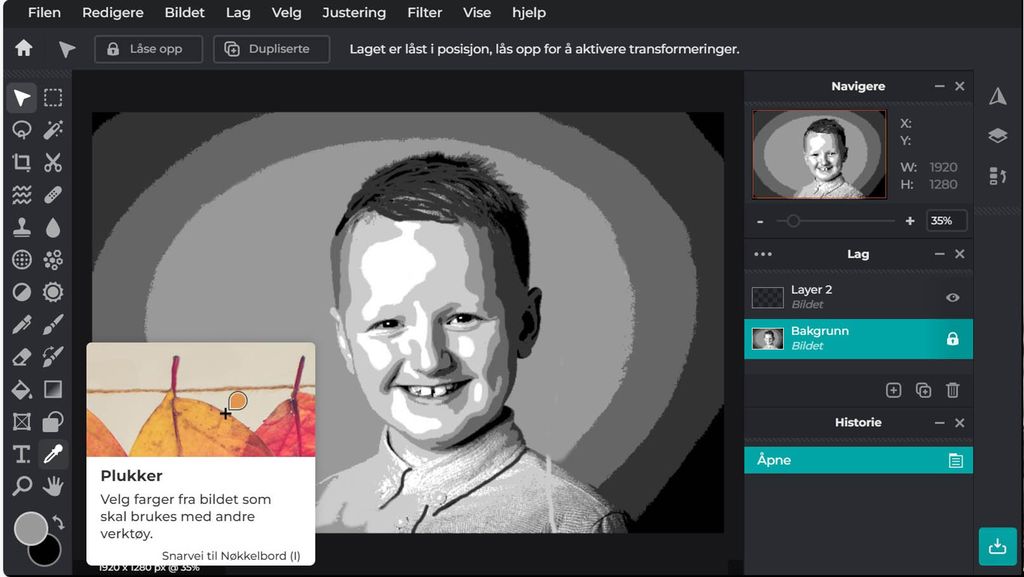 Skjermbilde fra et bilderedigeringsprogram som har oppe et foto av en blid gutt og fargevelgerverktøyet "Plukker" er aktivt. Foto.