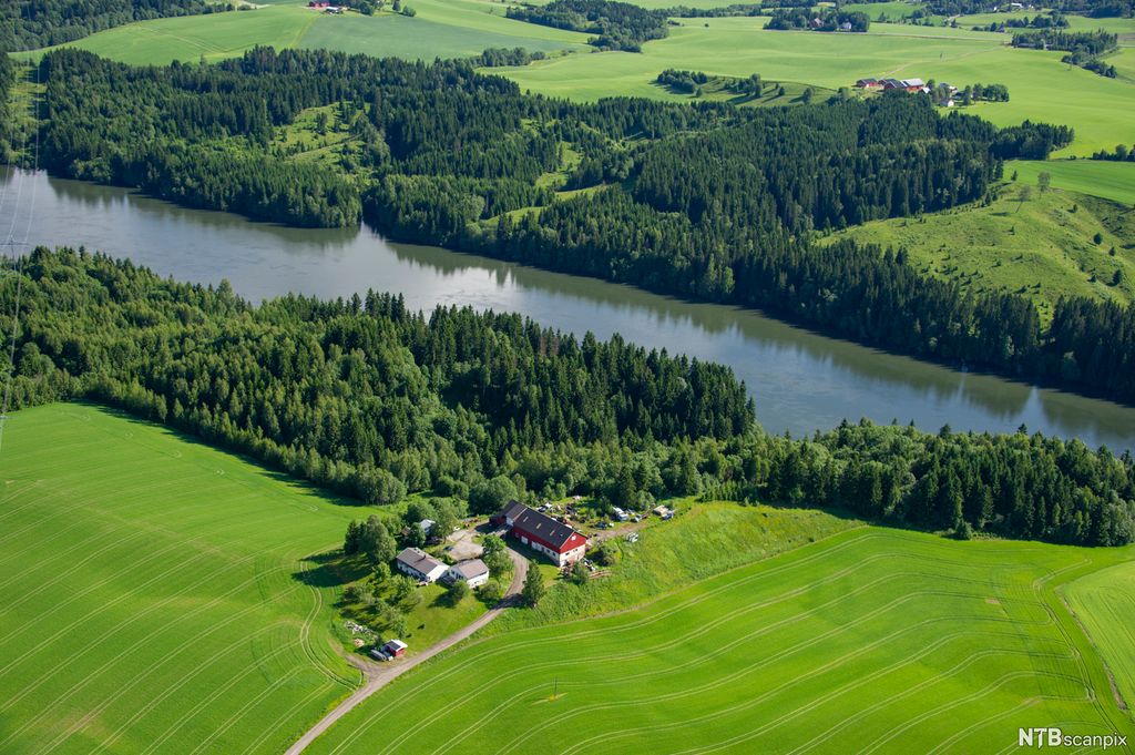Ein gard med grøne jorder og skog. Flyfoto.