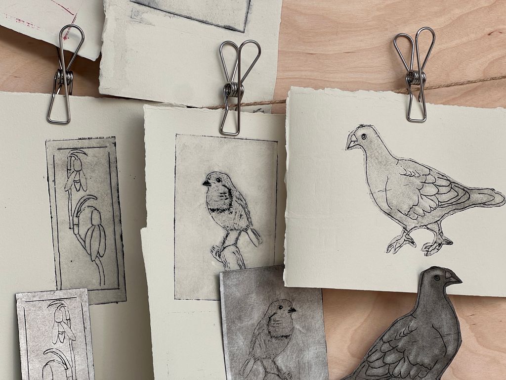 Skisser av snøklokke, meisefugl og due. Kollasj.